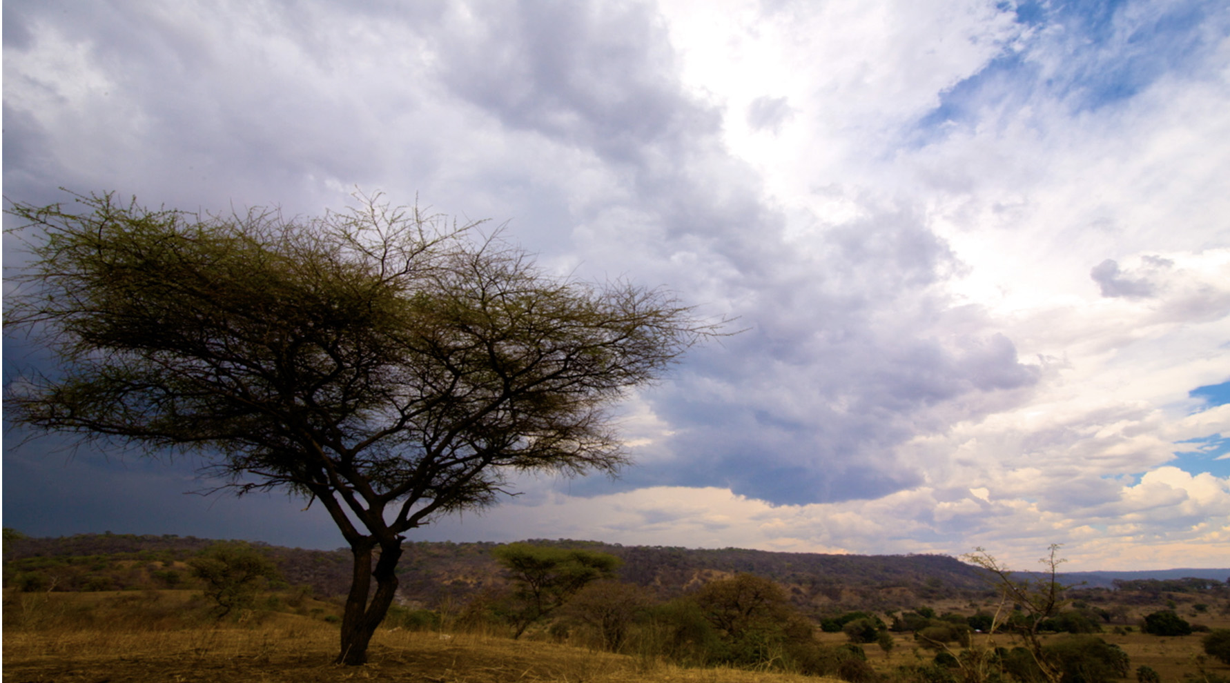 Asata_0010_Screen Shot 2021-01-21 at 9.35.00 AM